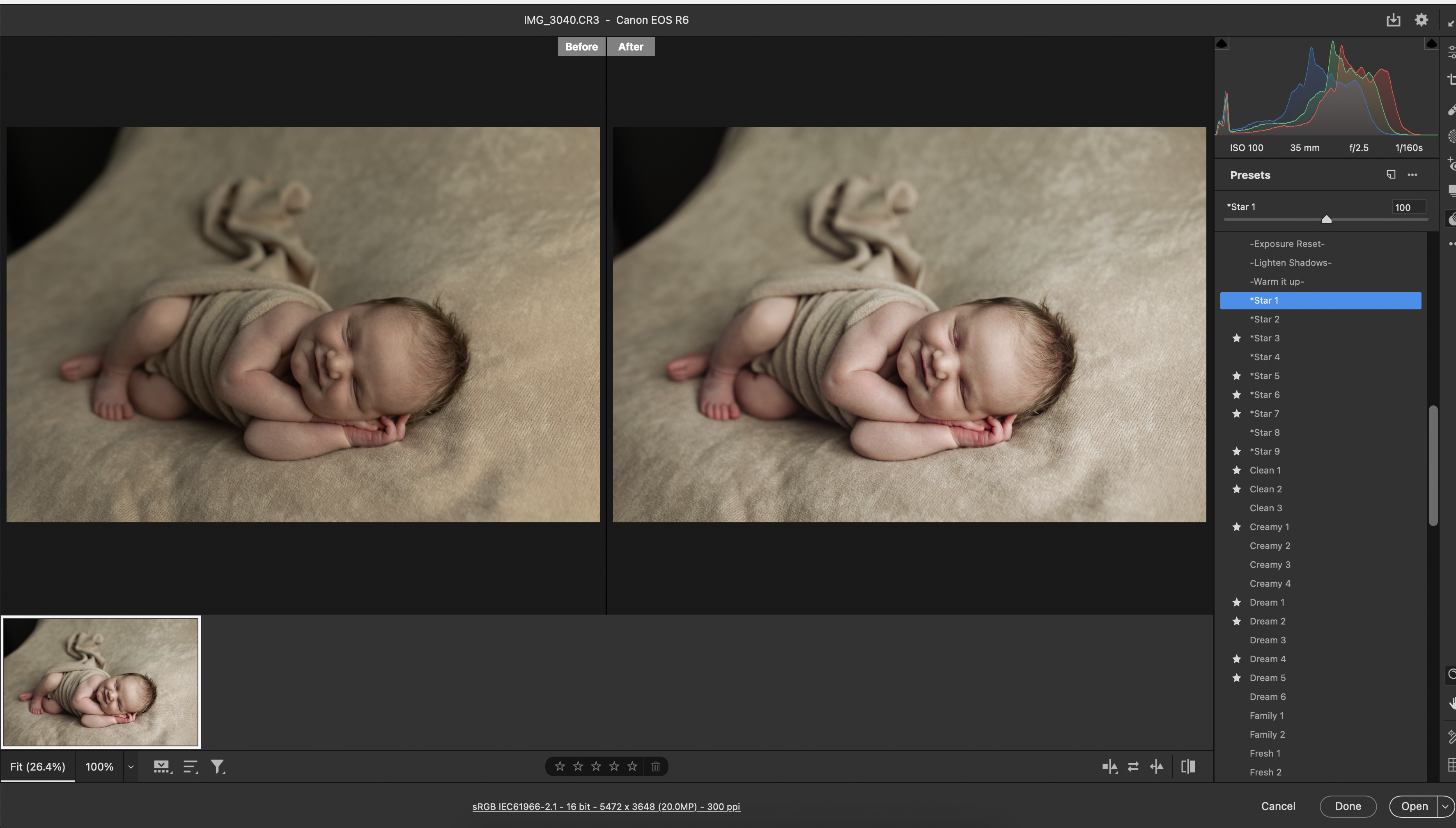 unedited newborn photography image